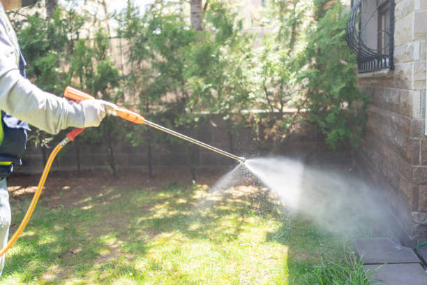 Best Best Pest Control Companies  in Hamilton, MO