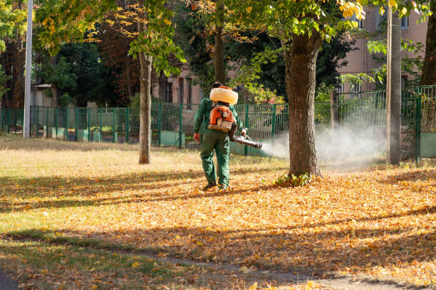 Best Spider Control Near Me  in Hamilton, MO